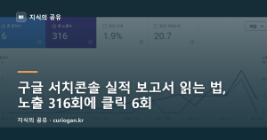 구글 서치콘솔 실적 보고서 읽는 법, 노출 316회에 클릭 6회